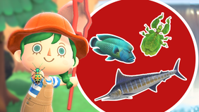 ACNH: All New July Bugs, Fish and Sea Creatures